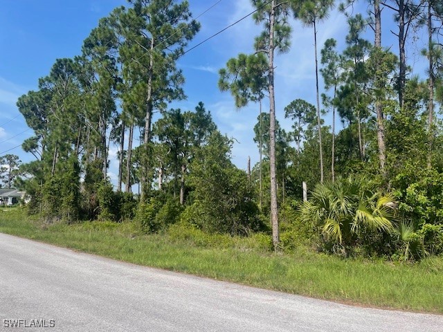 1010 Manikin Avenue S Lehigh Acres FL 33974 225062275 image2