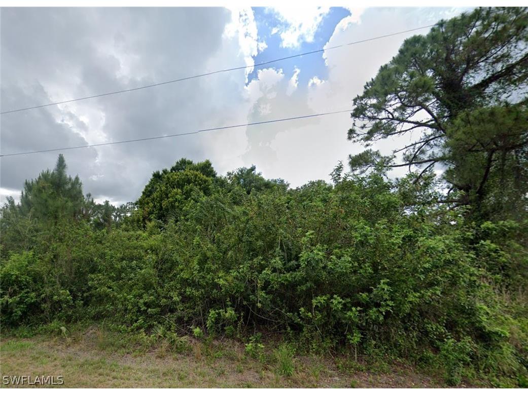 1010 Monroe Avenue Lehigh Acres FL 33972 226009401 image1