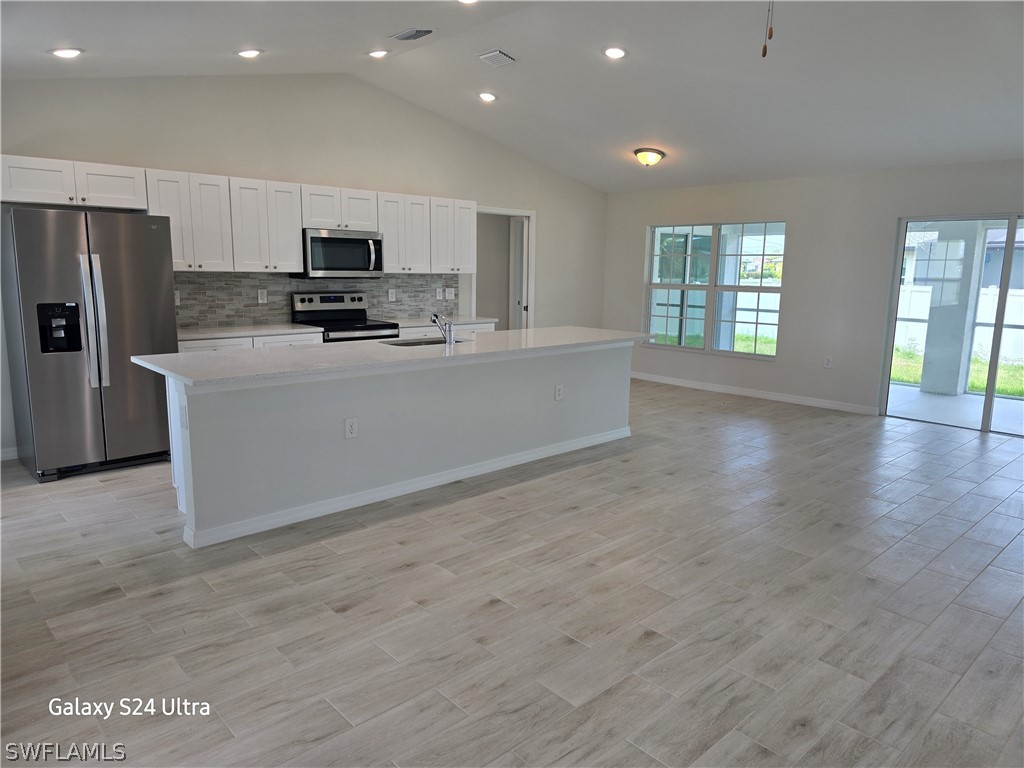 1010 NW 6th Place Cape Coral FL 33993 224039057 image1