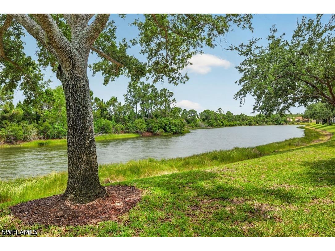 10109 Colonial Country Club Boulevard #2410 Fort Myers FL 33913 226020860 image21