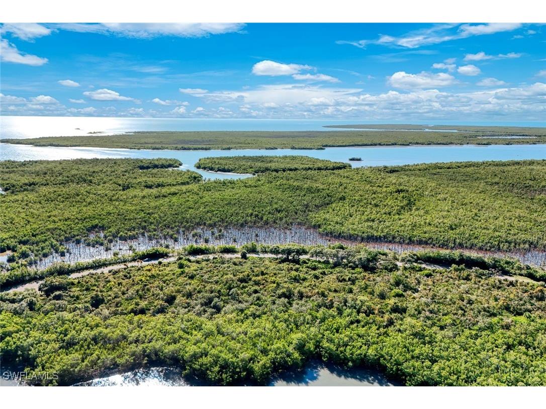 1011 Blue Hill Creek Drive Marco Island FL 34145 226001392 image13