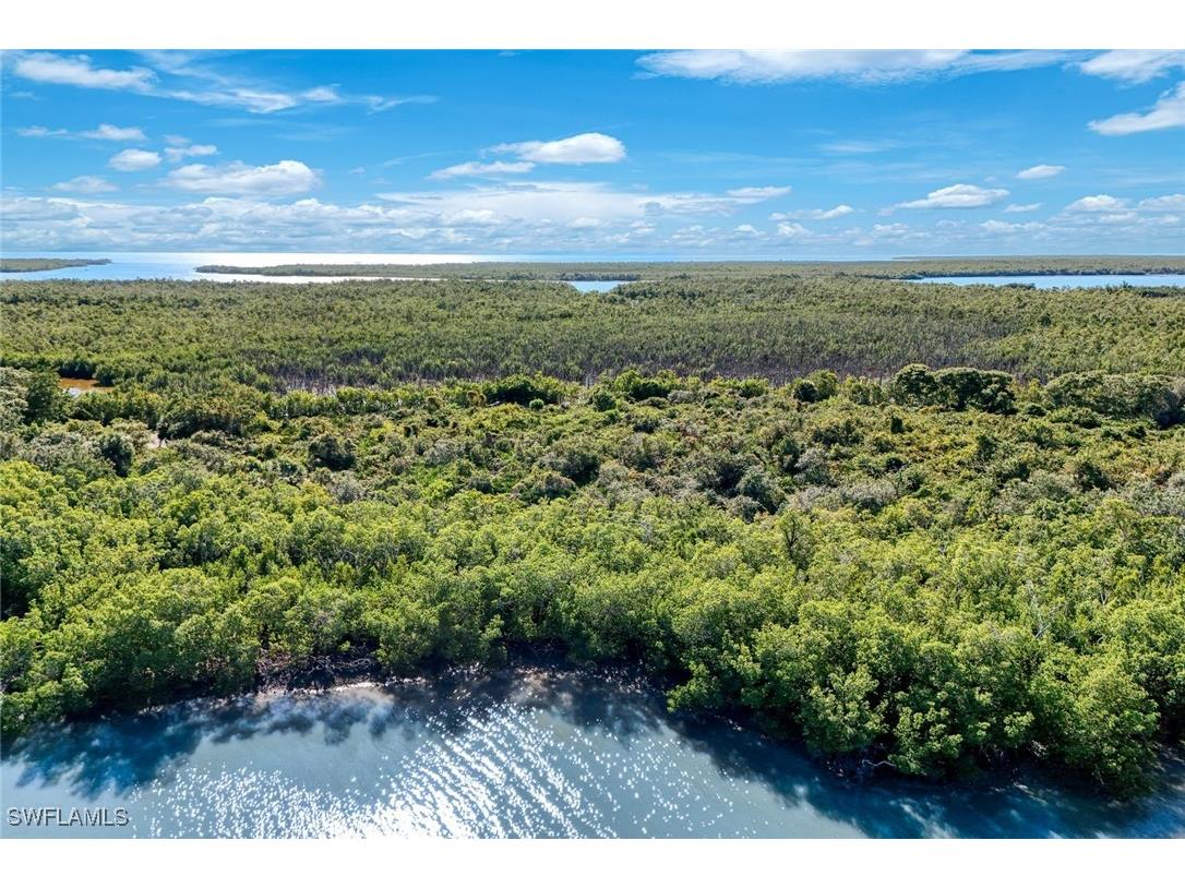 1011 Blue Hill Creek Drive Marco Island FL 34145 226001392 image14