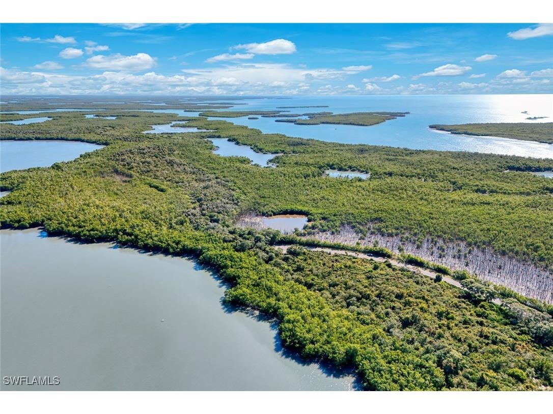 1011 Blue Hill Creek Drive Marco Island FL 34145 226001392 image15