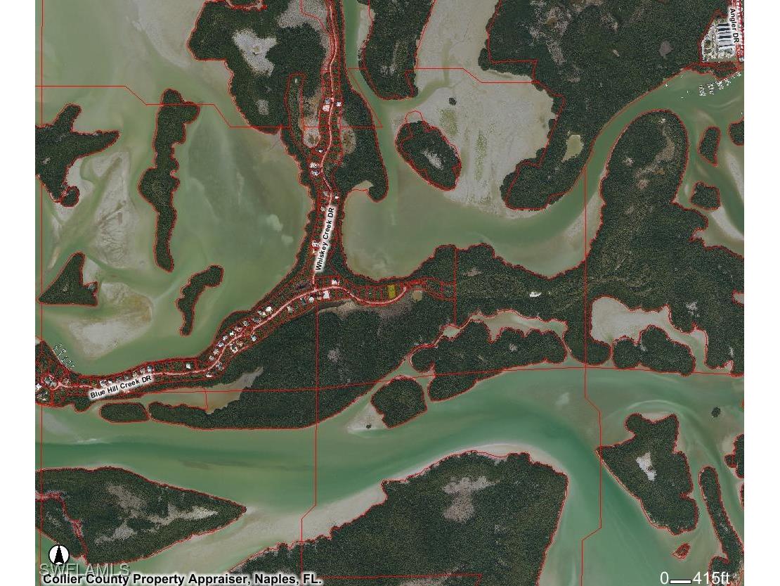 1011 Blue Hill Creek Drive Marco Island FL 34145 226001392 image2