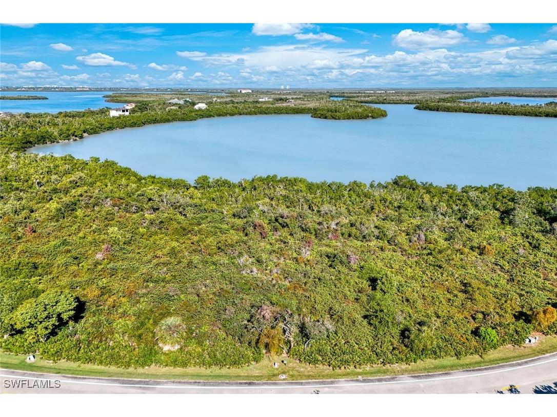 1011 Blue Hill Creek Drive Marco Island FL 34145 226001392 image22