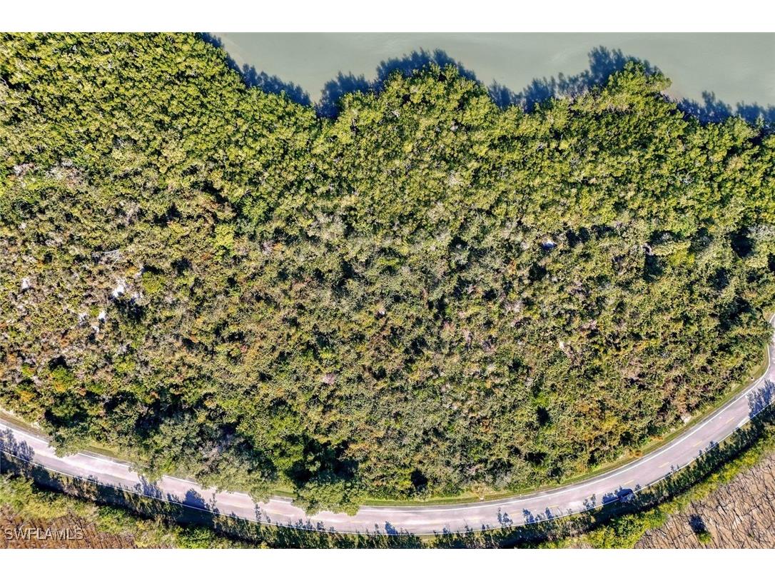 1011 Blue Hill Creek Drive Marco Island FL 34145 226001392 image23