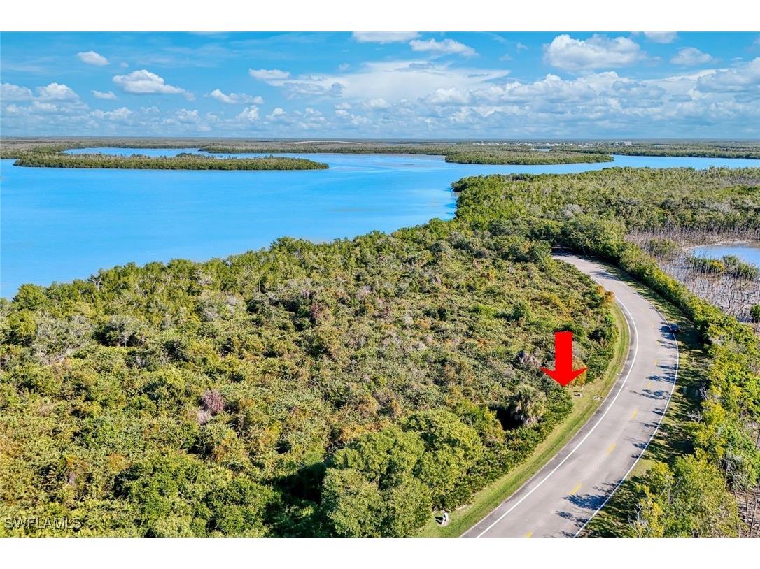 1011 Blue Hill Creek Drive Marco Island FL 34145 226001392 image3