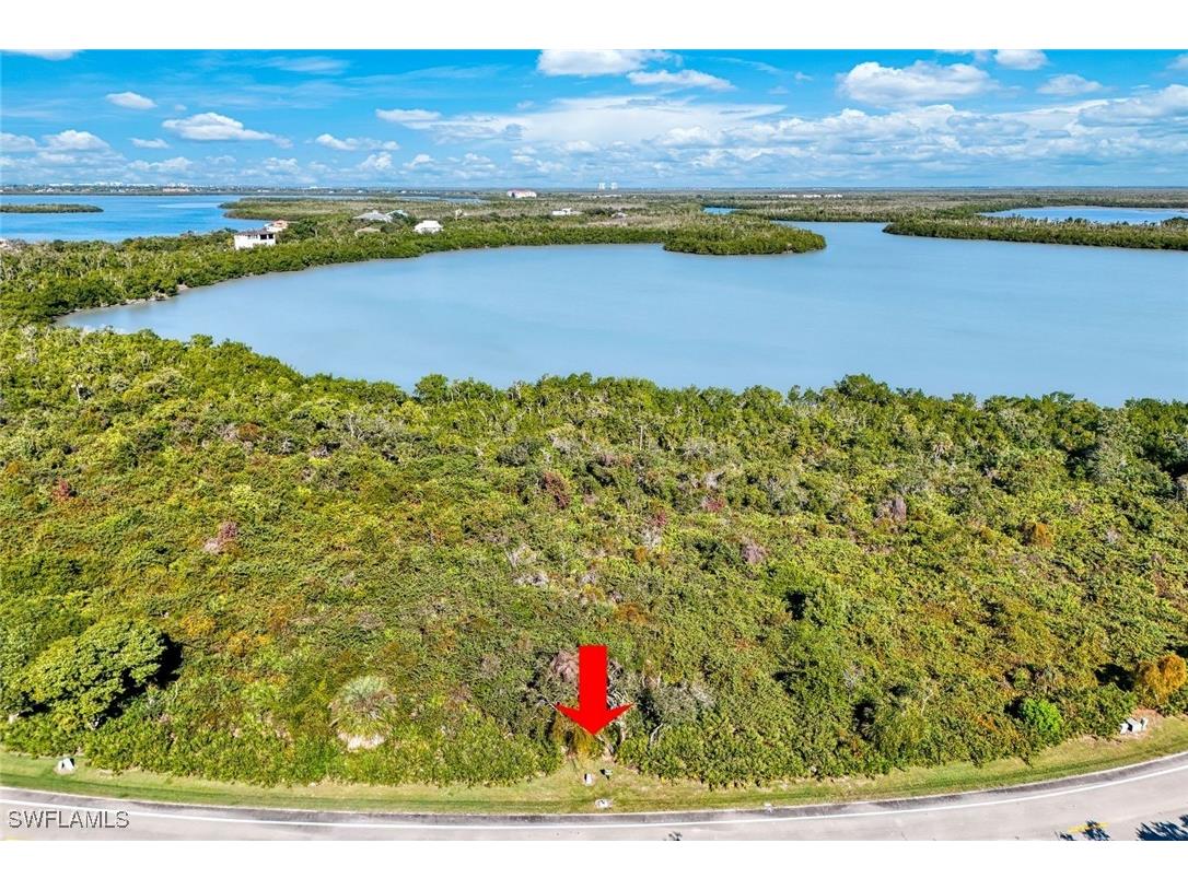 1011 Blue Hill Creek Drive Marco Island FL 34145 226001392 image4