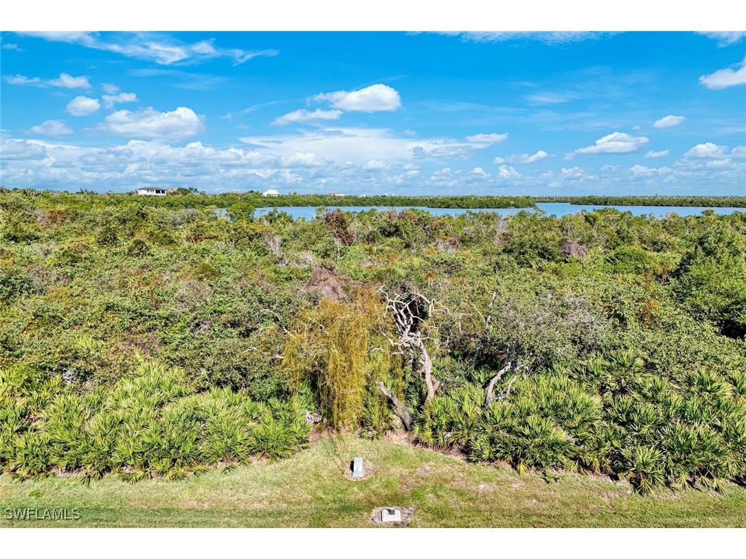 1011 Blue Hill Creek Drive Marco Island FL 34145 226001392 image5