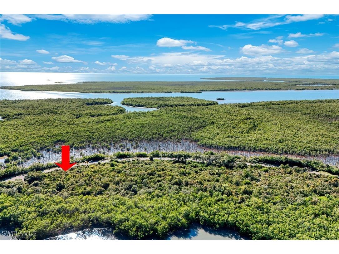 1011 Blue Hill Creek Drive Marco Island FL 34145 226001392 image7