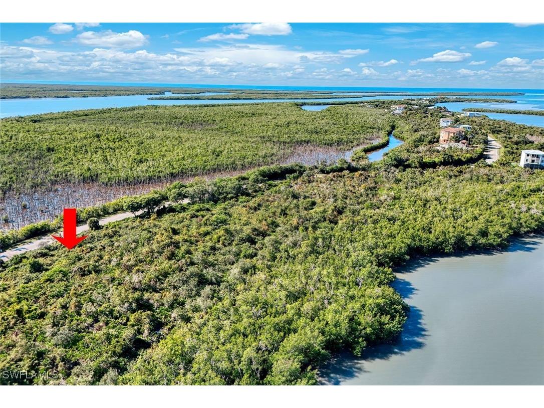1011 Blue Hill Creek Drive Marco Island FL 34145 226001392 image8