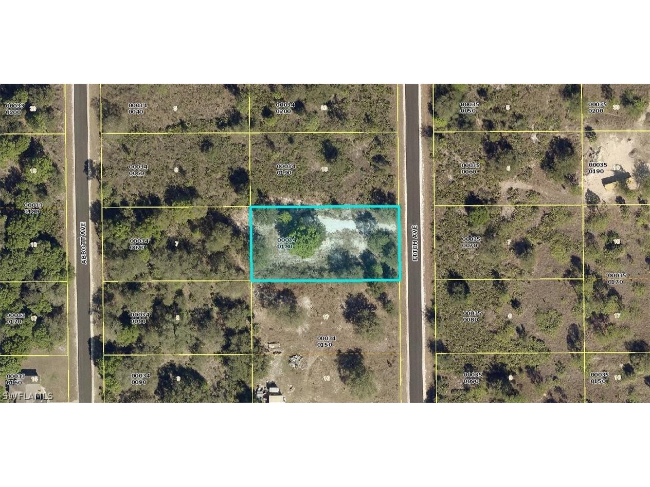 1011 Fitch Avenue Lehigh Acres FL 33972 222076012 image1