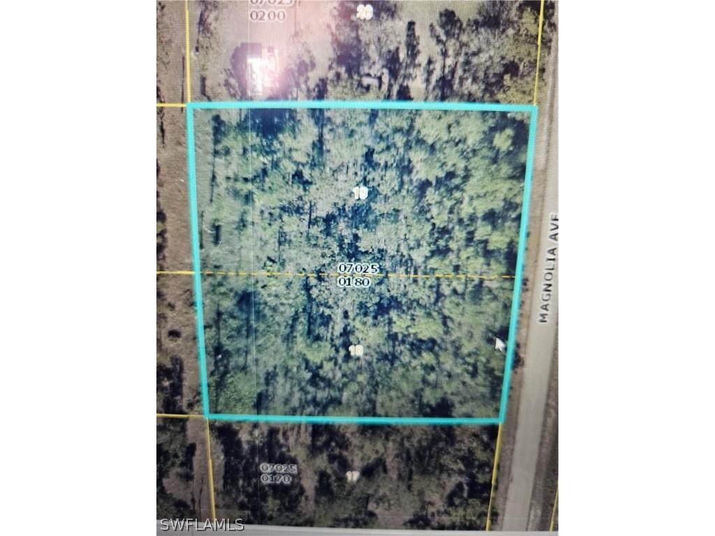 1011 Magnolia Avenue Lehigh Acres FL 33972 224030609 image1