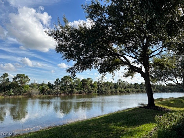 10113 Colonial Country Club Boulevard #2205 Fort Myers FL 33913 2025022789 image2