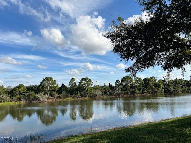 10113 Colonial Country Club Boulevard #2205 Fort Myers FL 33913 2025022789 image26