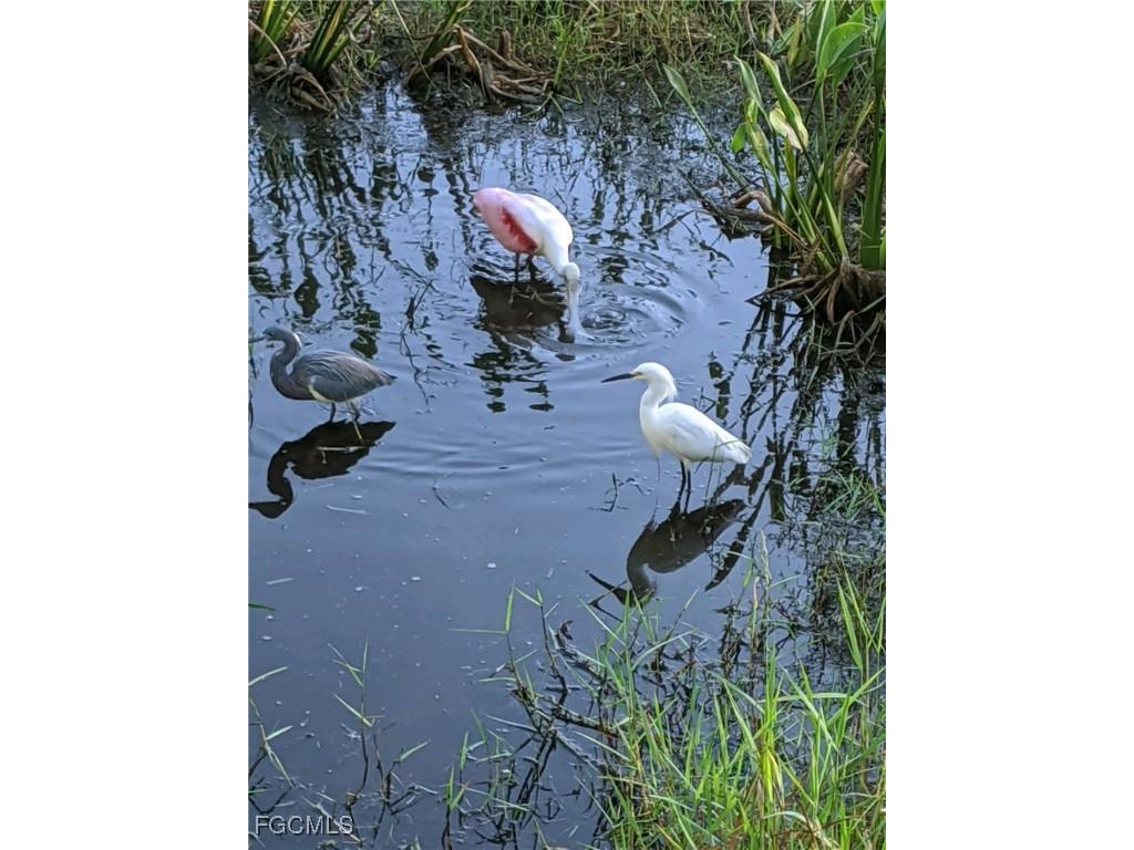 10115 Colonial Country Club Boulevard #2103 Fort Myers FL 33913 2026004431 image32