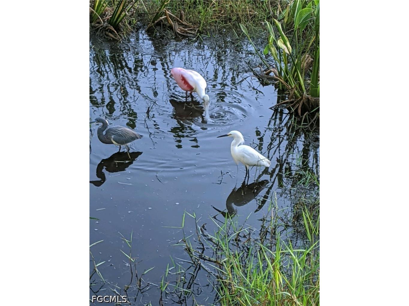 10115 Colonial Country Club Boulevard #2103 Fort Myers FL 33913 2026025886 image39