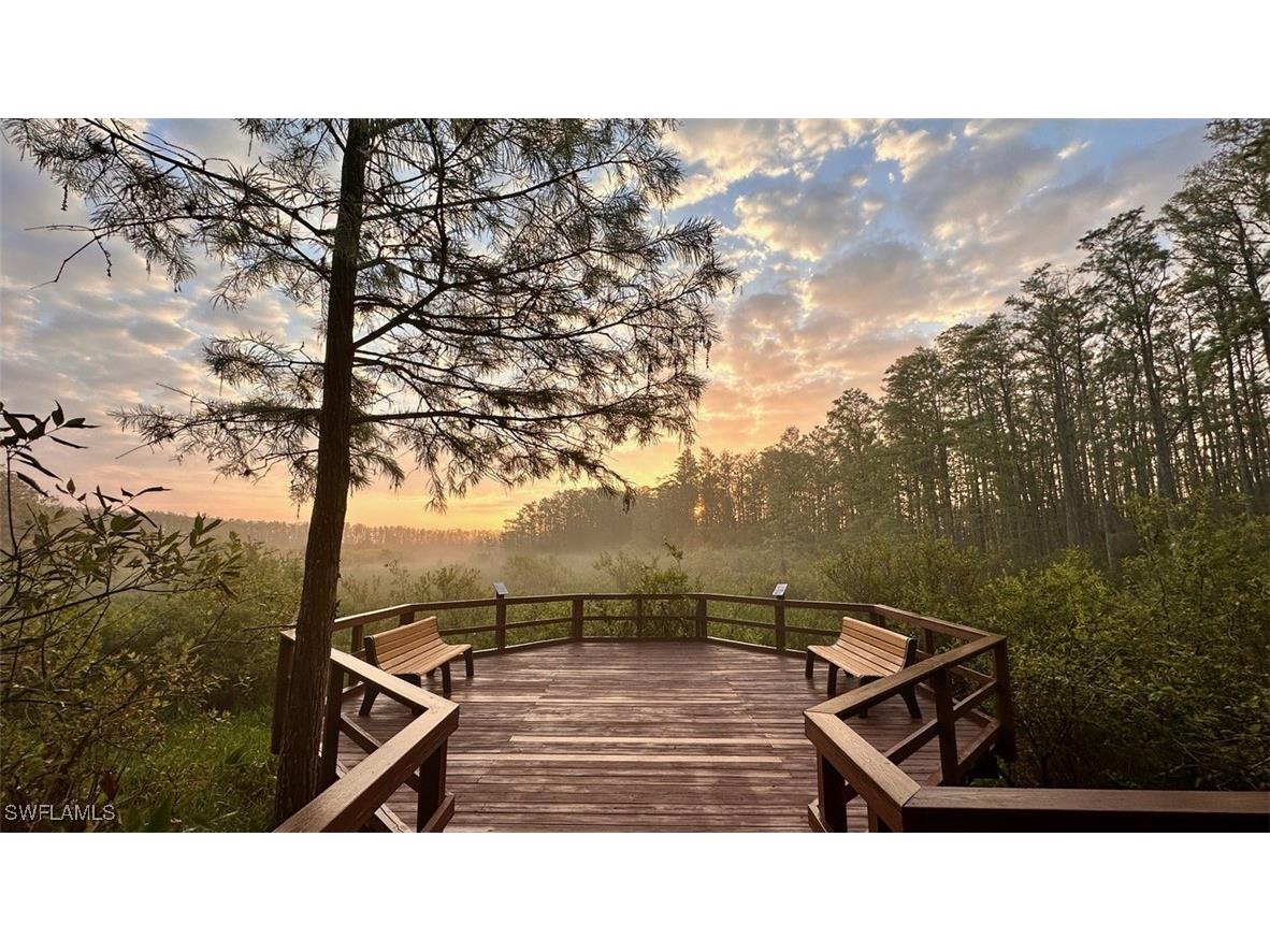 10119 Colonial Country Club Boulevard #1903 Fort Myers FL 33913 225072121 image27