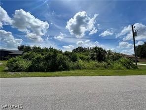 1012 Casino Avenue Lehigh Acres FL 33971 224082095 image1