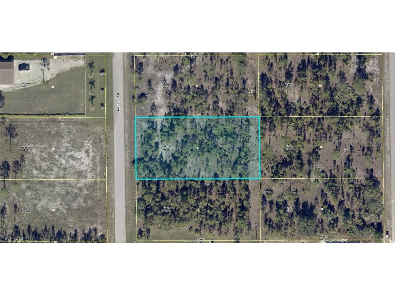 1012 Jackson Avenue Lehigh Acres FL 33972 223028409 image1