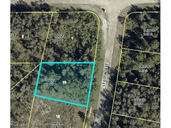 1012 Legion Avenue Lehigh Acres FL 33974 226011057 image1