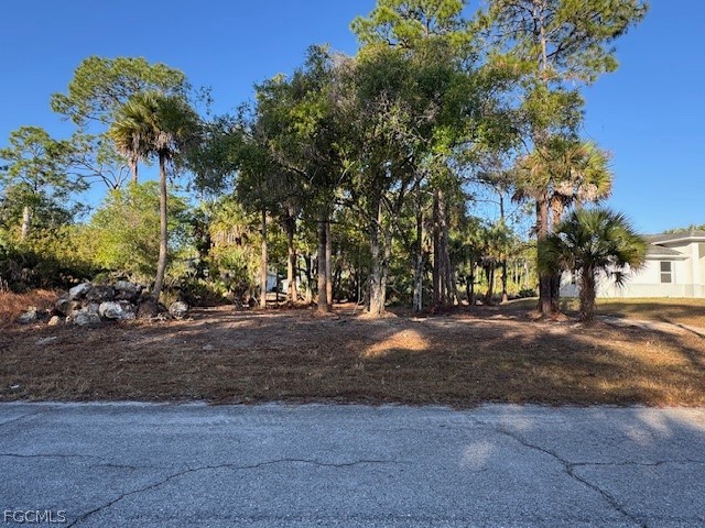 1012 Lockwood Street Labelle FL 33935 2026006851 image1