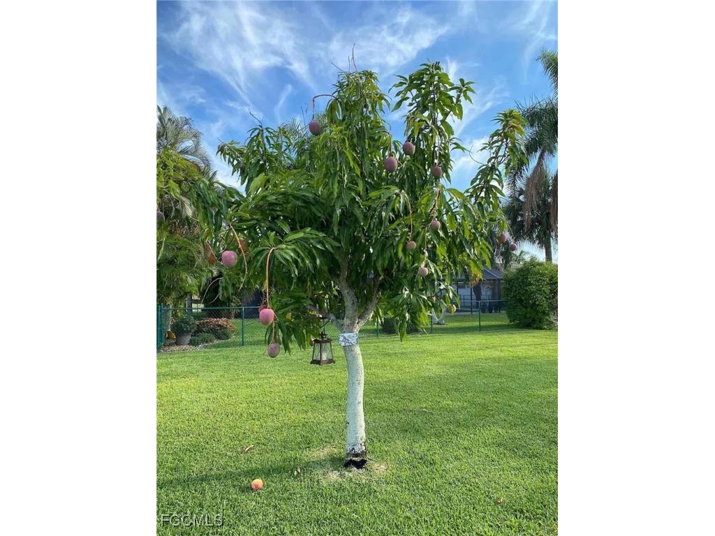 1012 SW 51st Terrace Cape Coral FL 33914 2025007001 image30