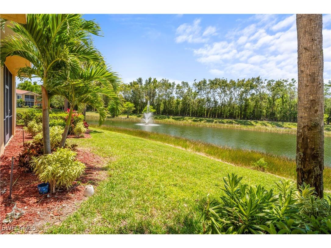 10121 Villagio Palms Way #102 Estero FL 33928 225044158 image22