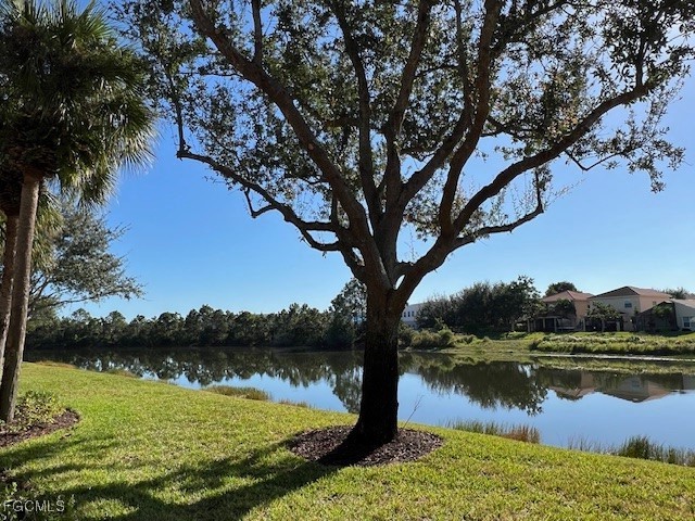 10125 Colonial Country Club Boulevard #1707 Fort Myers FL 33913 2025018810 image24