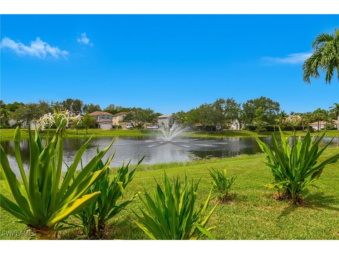 10125 N Golden Elm Drive Estero FL 33928 225066549 image31
