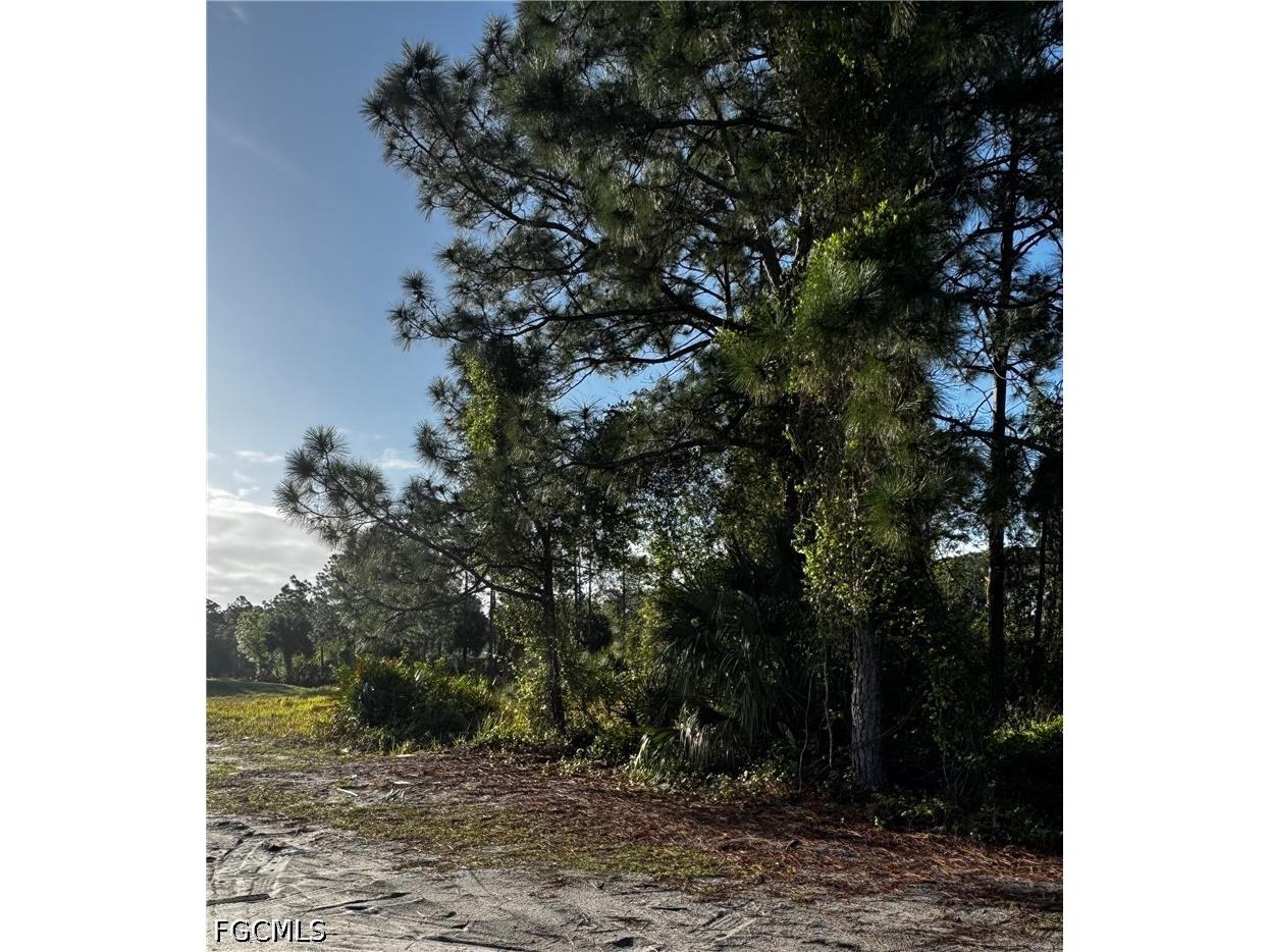 1013/1015 W 12th Street Lehigh Acres FL 33972 2026015028 image3