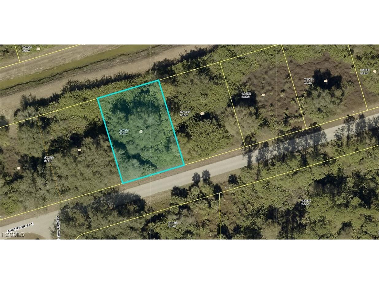 1013 Anderson Street Lehigh Acres FL 33974 2025020140 image2