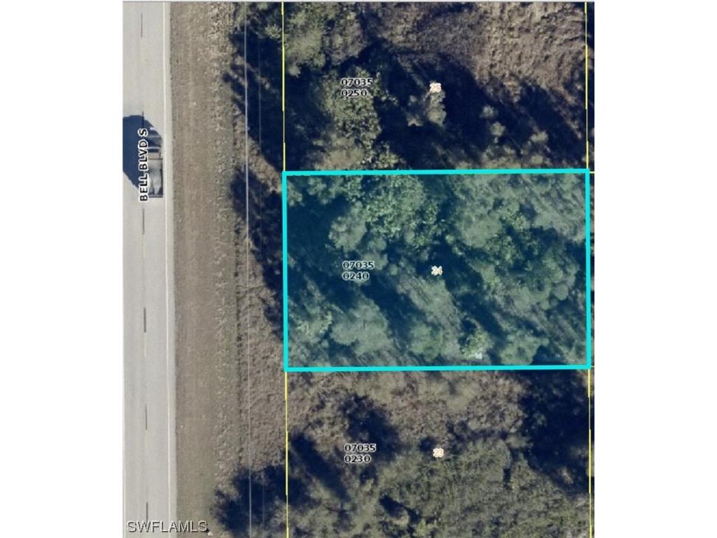 1013 Bell Boulevard S Lehigh Acres FL 33974 223060974 image1