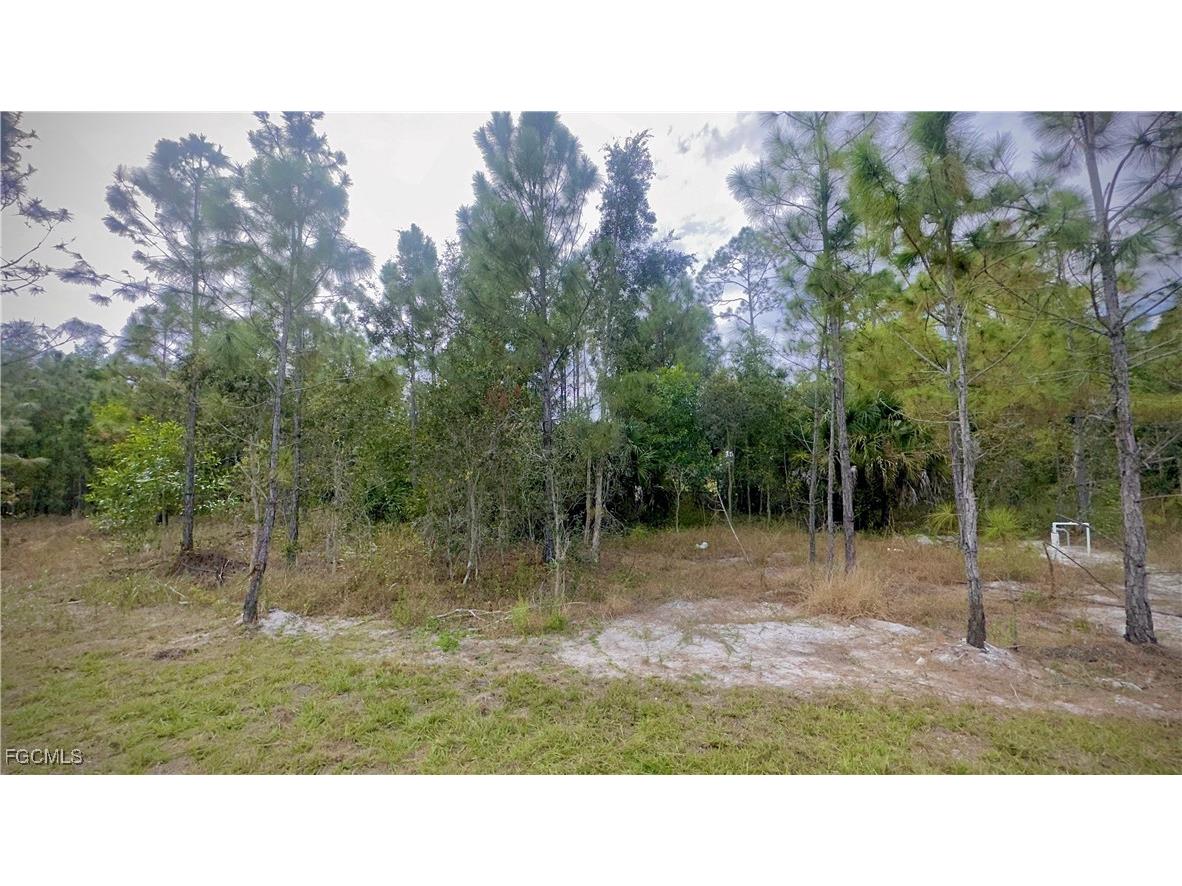 1013 Cleveland Avenue Lehigh Acres FL 33972 2025023005 image19