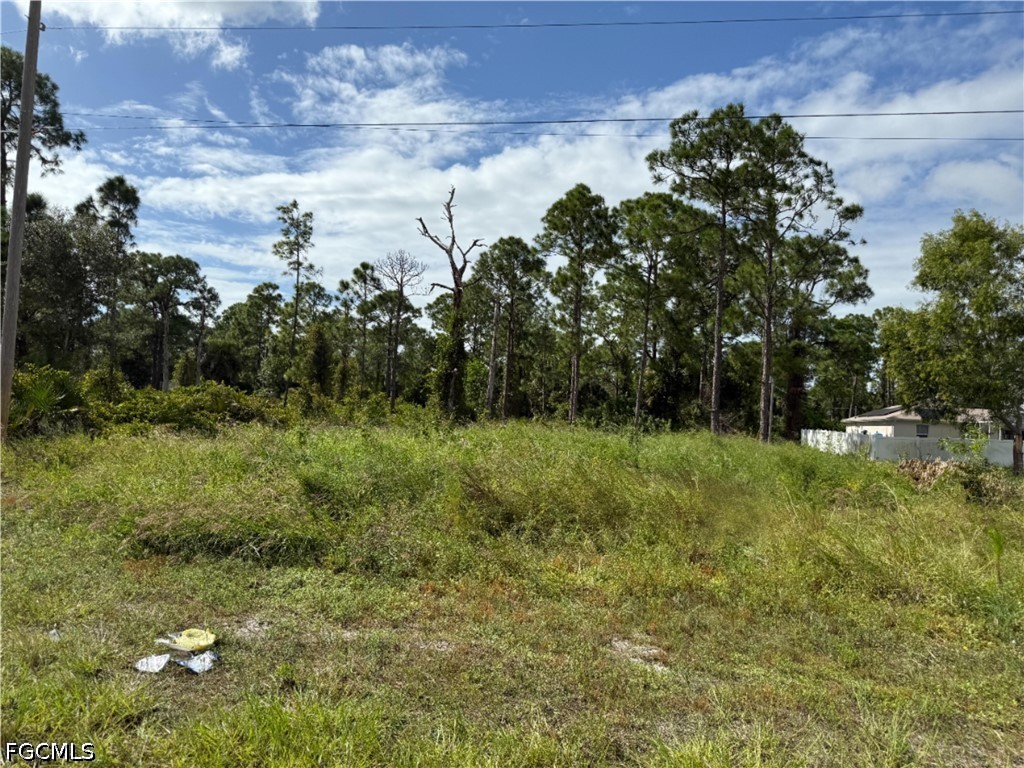 1013 Grant Boulevard Lehigh Acres FL 33974 2026026083 image3