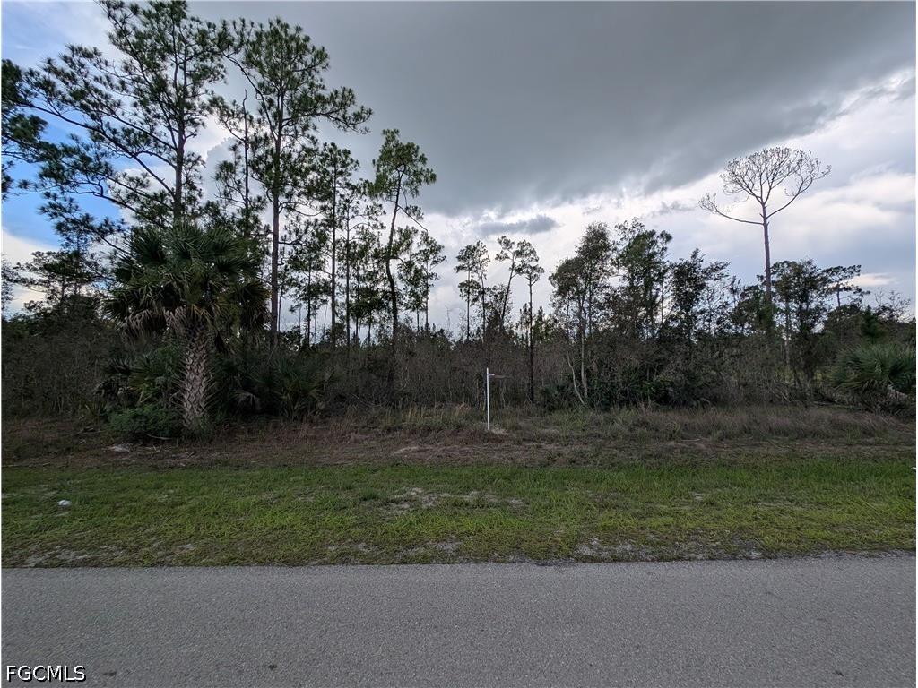 1013 Michael Avenue Lehigh Acres FL 33936 2026028390 image1