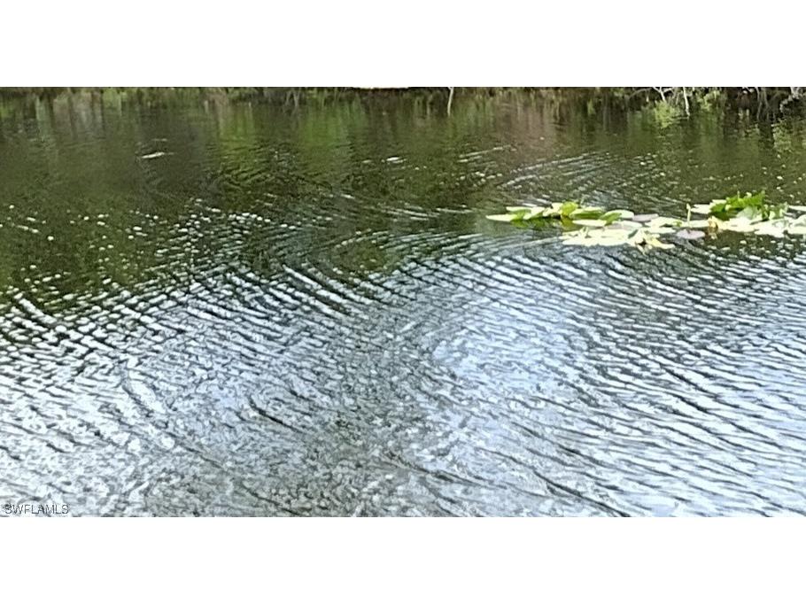 1013 NW 24th Terrace Cape Coral FL 33993 222029562 image1