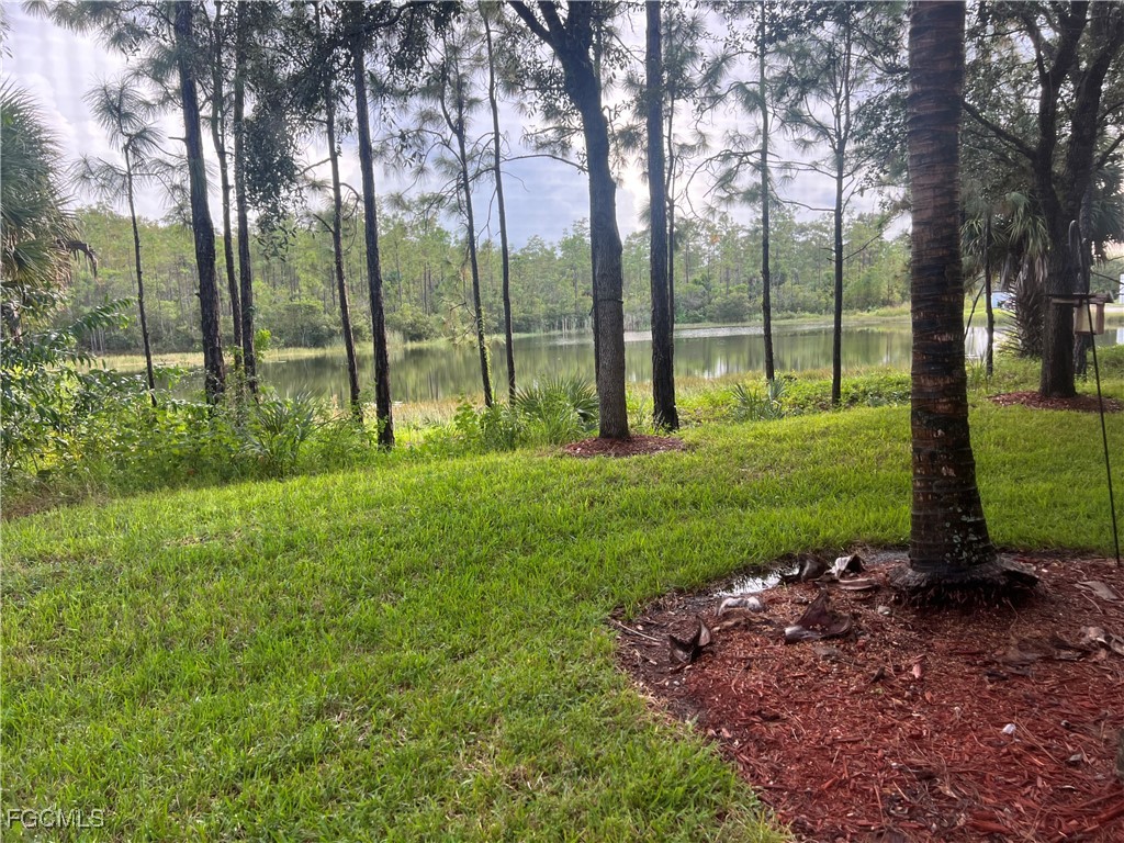 10132 Via Colomba Circle Fort Myers FL 33966 2025016251 image13