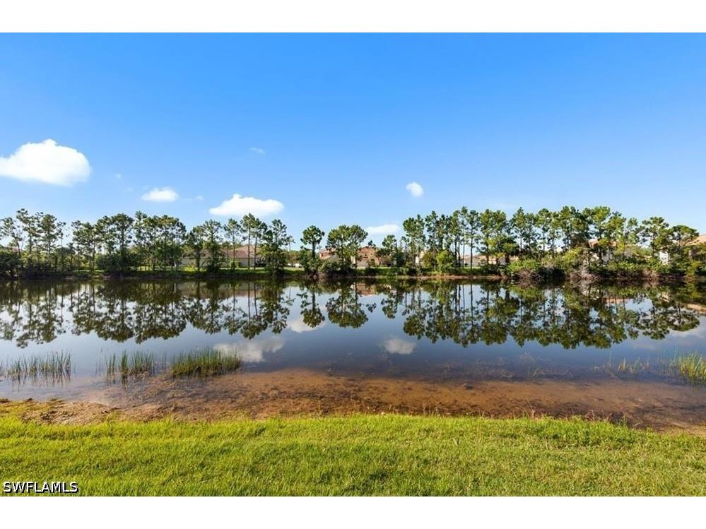 10135 Colonial Country Club Boulevard #1208 Fort Myers FL 33913 226014887 image23
