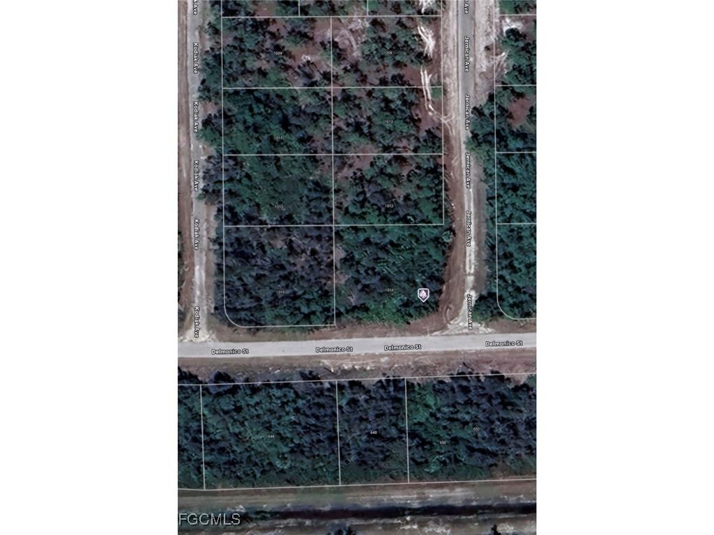 1014 Jernican Avenue Lehigh Acres FL 33936 2025006045 image1