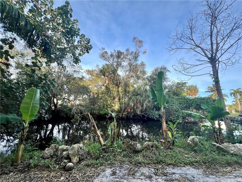 10141 Kentucky Street Bonita Springs FL 34135 225074460 image4