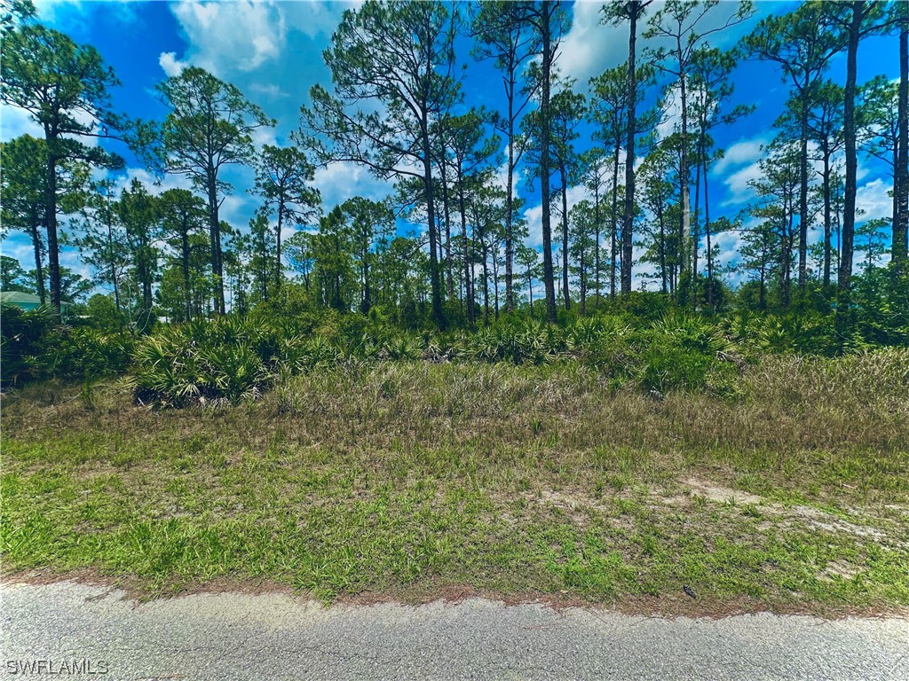 1015 Euclid Avenue Lehigh Acres FL 33972 224002276 image1