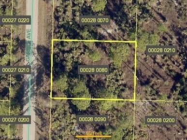 1015 Garnet Avenue Lehigh Acres FL 33974 223043527 image1