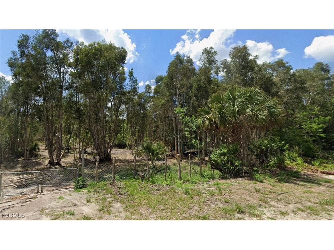 1015 Legion Avenue Lehigh Acres FL 33974 2025019993 image2