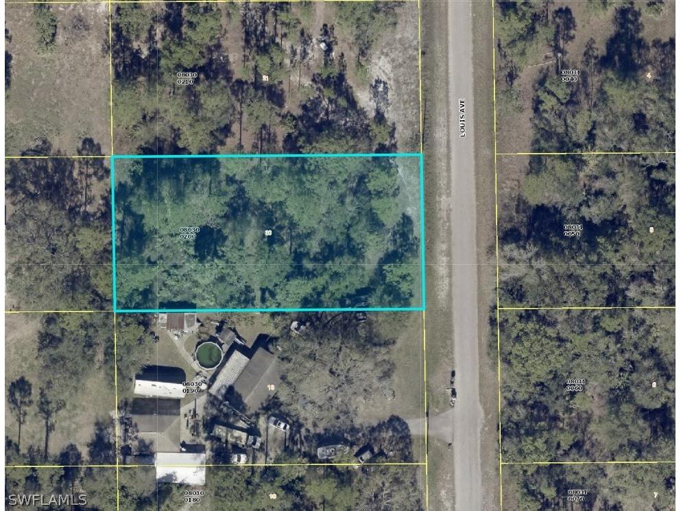 1015 Louis Avenue Lehigh Acres FL 33972 224025281 image1