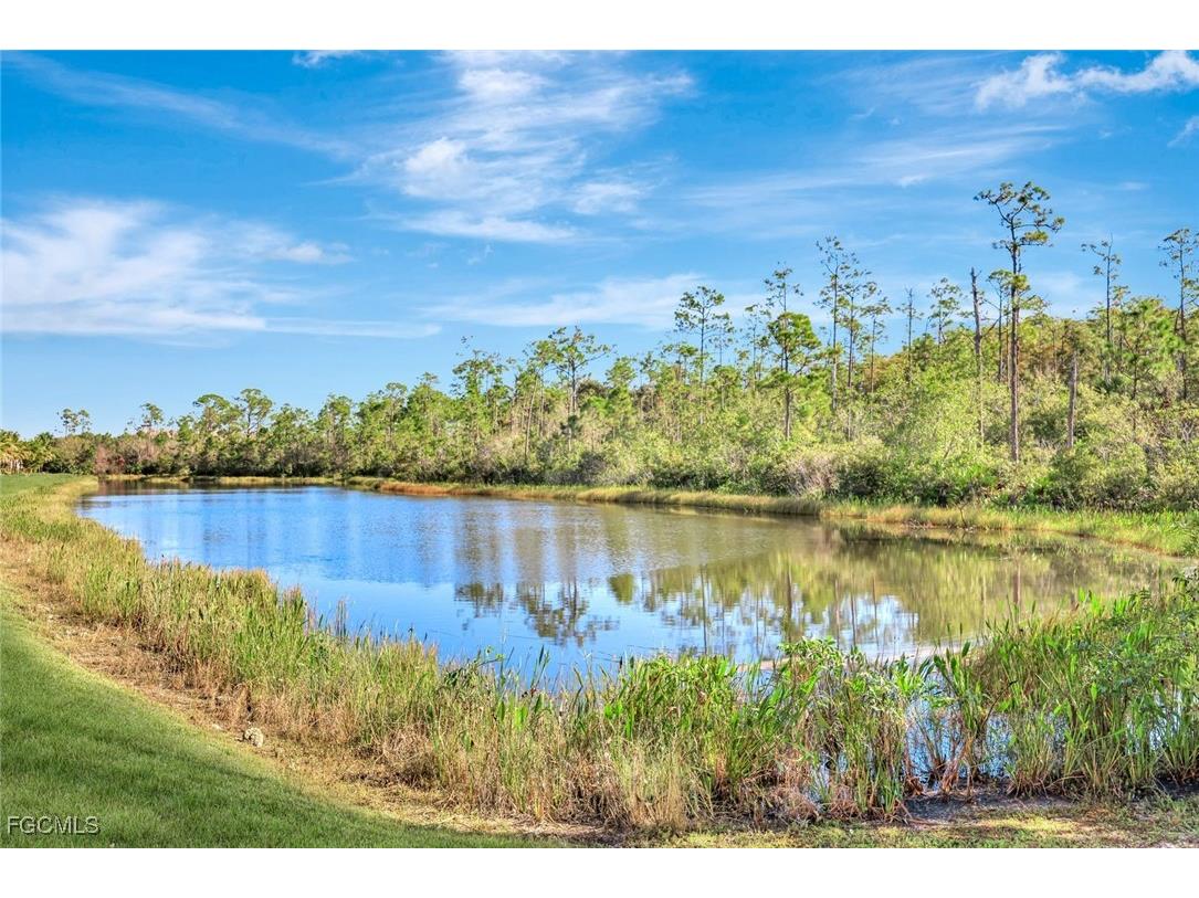 10150 Via Colomba Circle Fort Myers FL 33966 2025016465 image27