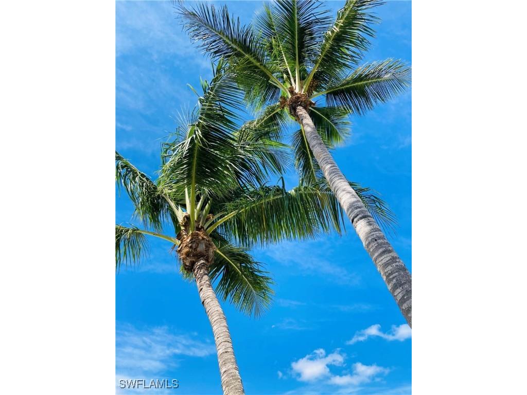 1016 7th Street S Naples FL 34102 225077004 image17