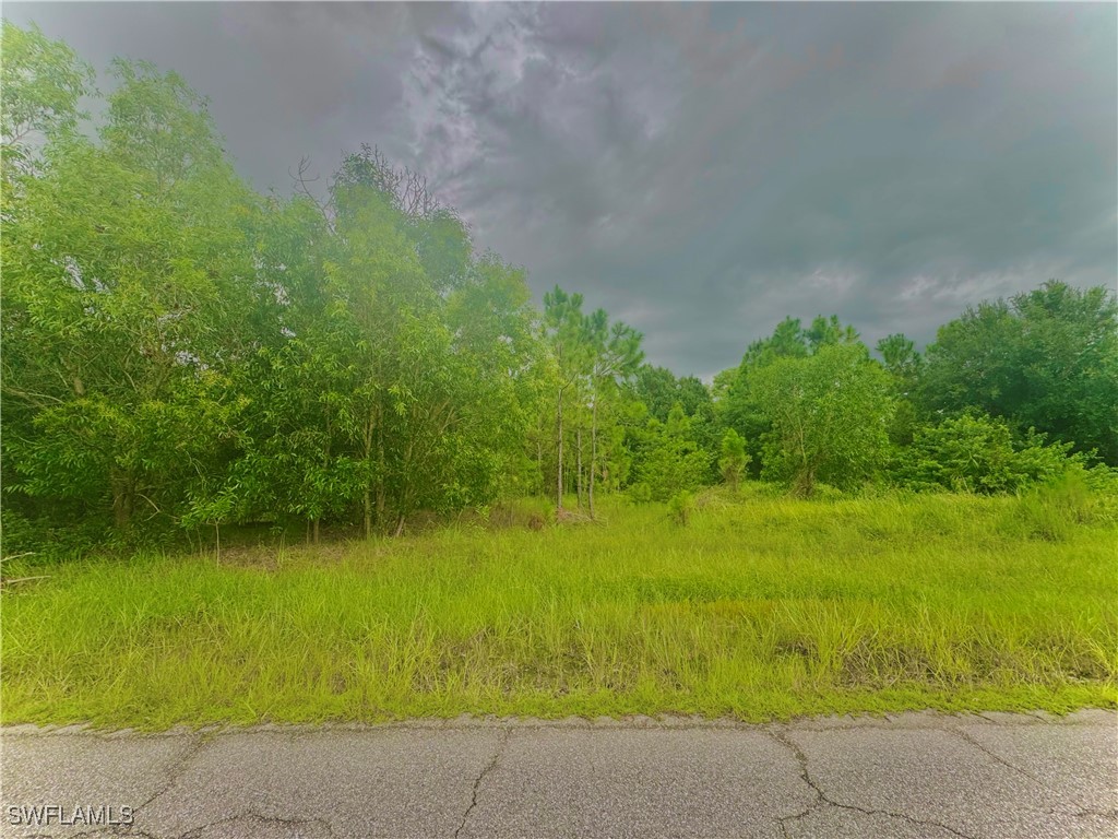 1016 Columbus Avenue Lehigh Acres FL 33972 224072585 image1