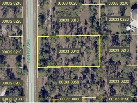 1016 Cortez Avenue Lehigh Acres FL 33972 223023962 image1