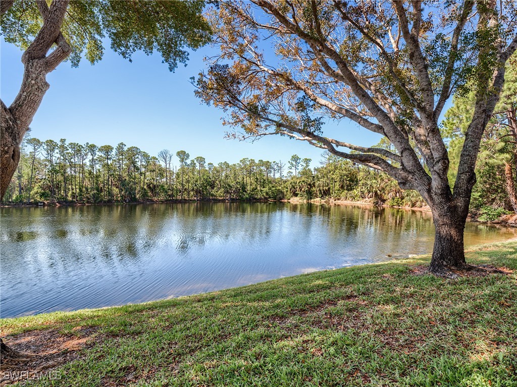 1016 Manor Lake Drive Naples FL 34110 225067535 image4